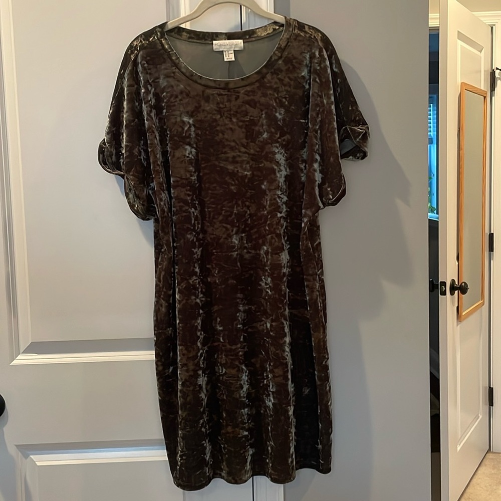 Forever 21 Velvet Midi Dress in Muted Green